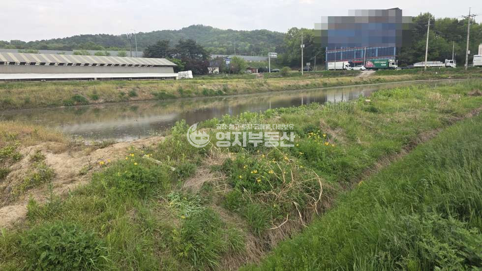 경기 이천시 모가면 어농리 남이천ic토지매매 매매 매물번호 10089 사진 1