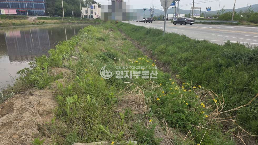경기 이천시 모가면 어농리 남이천ic토지매매 매매 매물번호 10089 사진 2